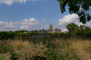 CBD Argenteuil